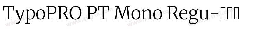 TypoPRO PT Mono Regu字体转换